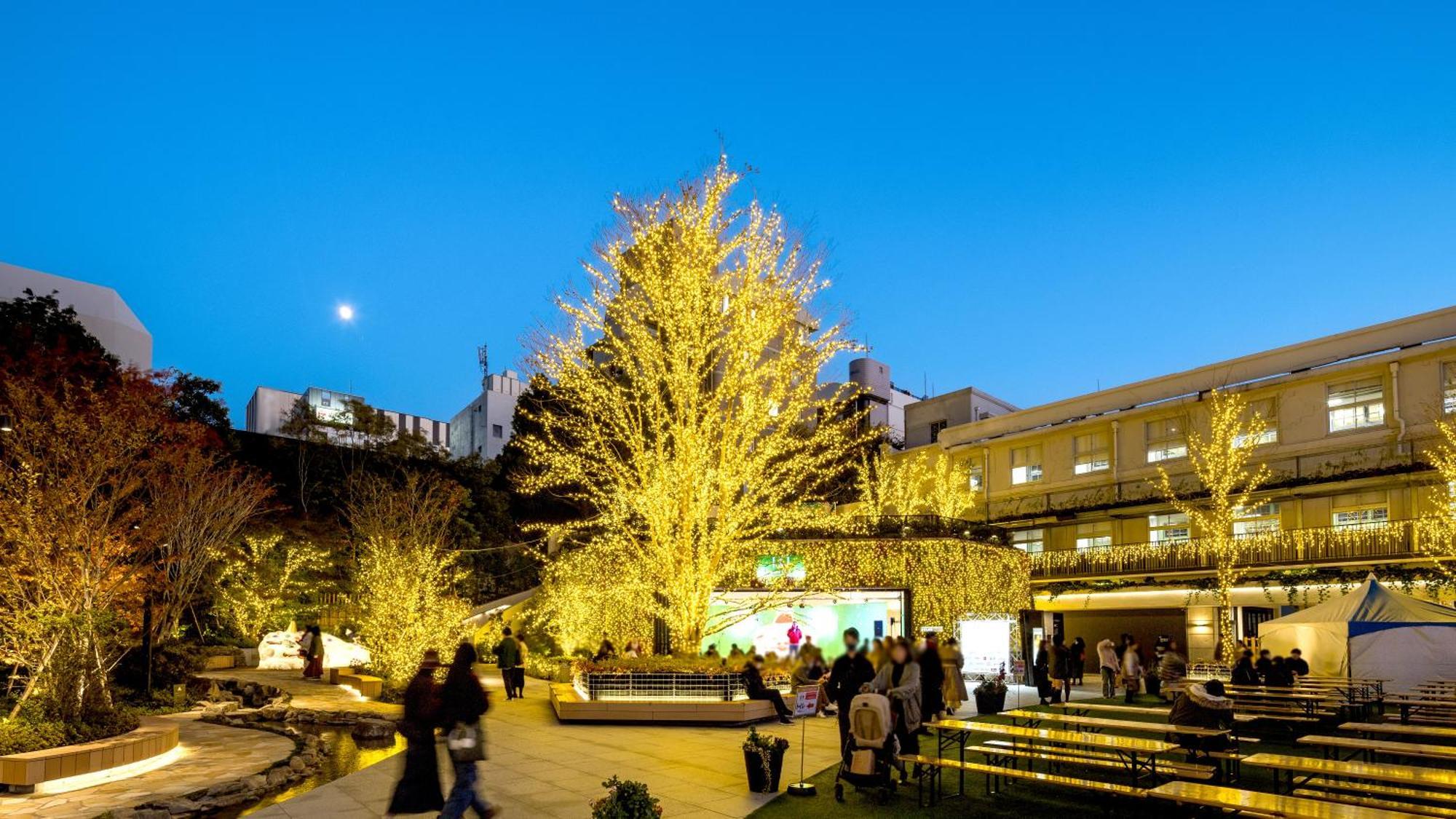 Hotel Jal City Fukuoka Tenjin Exterior foto